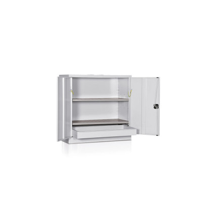 Cabinet for chemical products 2 shelves mm. 1000Lx500Dx1000H. Grey.