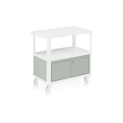 Chest for trolley mm. 850Lx450Dx325H.