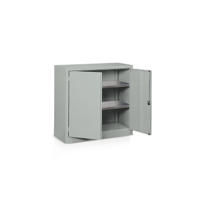 Hinged doors cabinet and 2 shelves mm. 1000Lx500Dx1000H. Grey.