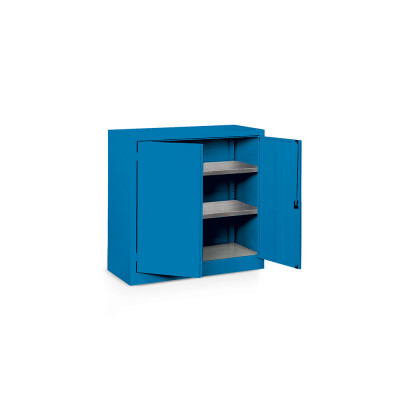 Hinged doors cabinet and 2 shelves mm. 1000Lx500Dx1000H. Blue.