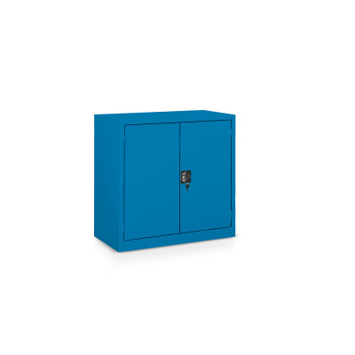 Hinged doors cabinet and 2 shelves mm. 1000Lx600Dx1000H.