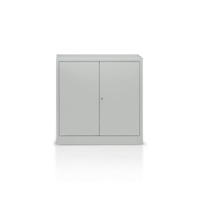 Hinged doors cabinet with 2 shelves and 2 drawers mm. 1000Lx400Dx1000H. Grey.